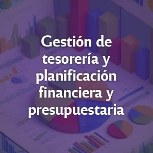 Módulo Gestión de tesorería