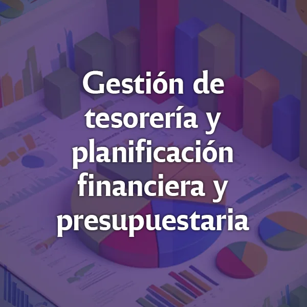 Módulo Gestión de tesorería