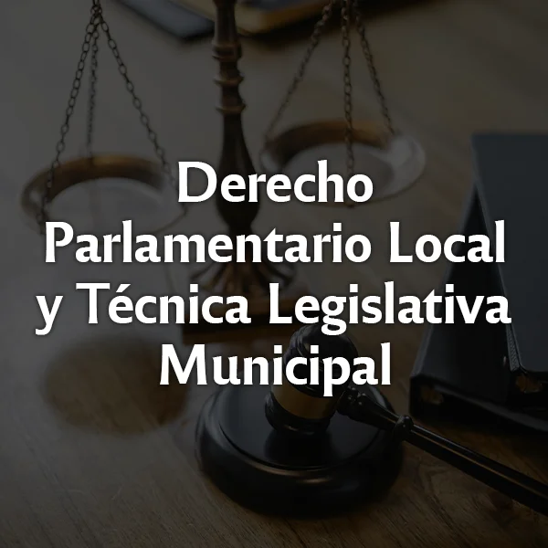 Derecho Parlamentario Local y Técnica Legislativa Municipal