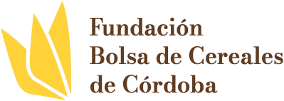 Fundación BCCBA logo