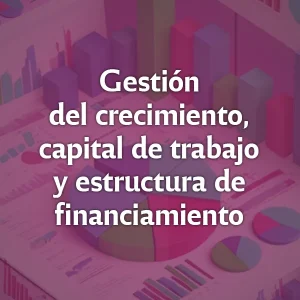 Gestión del crecimiento, capital de trabajo y estructura de financiamiento