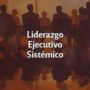 Liderazgo Ejecutivo Sistémico