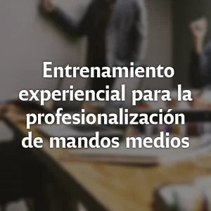 Entrenamiento experiencial para la  profesionalización de mandos medios
