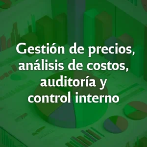 Gestión de precios, análisis de costos, auditoría y control interno