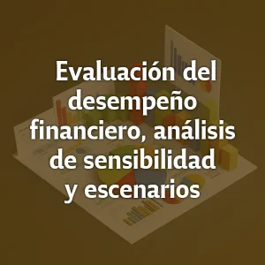 Evaluación del desempeño financiero, análisis de sensibilidad y escenarios